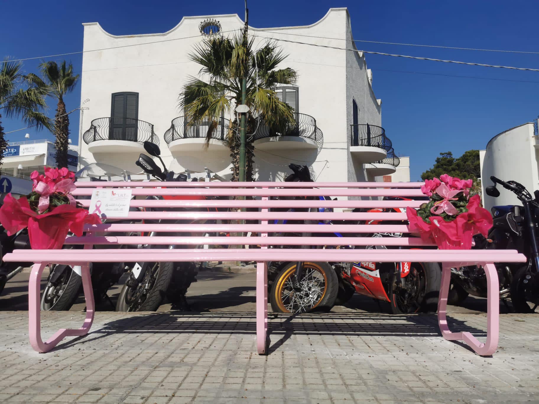 Santa Caterina Inaugurata La Panchina Rosa